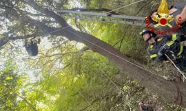 Precipita con il parapendio e rimane appeso a un albero: soccorso un giovane