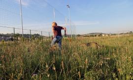 Erba alta e sporcizia a Piediripa, l'appello: "Chiediamo solo di far giocare i nostri figli in sicurezza"