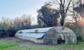 Macerata, a Fontescodella una serra per la coltivazione di specie arboree autoctone: al via il progetto
