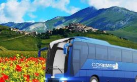 Marche, Fioritura di Castelluccio in bus: ecco i servizi per il weekend
