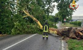 Il maltempo sferza le Marche, 40 gli interventi dei vigili del fuoco: prolungata allerta meteo