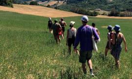Borgofuturo 2023, da Ripe San Ginesio a Loro Piceno: si apre il sipario sulla nuova edizione
