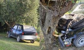 Macerata, finisce con la Panda contro una pianta: uomo in ospedale