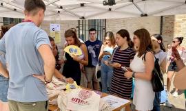 La carica dei 400 alla scoperta di Unimc