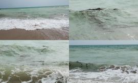 Civitanova, acqua del mare tinta di nero sul lungomare nord (VIDEO)