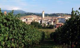 Matelica per l'ottavo anno di fila si aggiudica il premio "Spighe verdi"