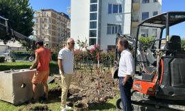Civitanova, nuova luce per due parchi del lungomare sud