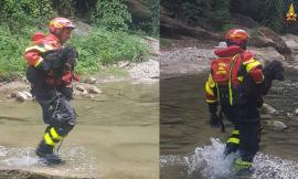 Cane precipita in un torrente: provvidenziale intervento dei vigili del fuoco