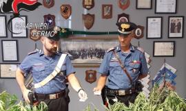 Lite in casa, arrivano i carabinieri e trovano compresse con scritta "Nasa": erano anfetamine, arrestato