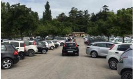 Tarlo asiatico all'Abbadia di Fiastra: in corso l'intervento contro il parassita