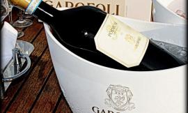 Podium, il Verdicchio che fa la storia: la Casa Vinicola Garofoli festeggia i 30 anni del suo vino iconico