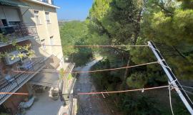 Macerata, via dei Velini nel degrado fra topi e incuria del verde: "Dal Comune solo prese in giro"