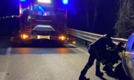 Pollenza, incidente in superstrada nella notte: auto finisce contro il guardrail