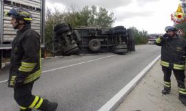 Rimorchio di un camion nel fosso: i polli trasportati finiscono nei campi