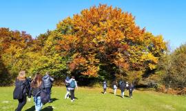 Torna "Climbing for Climate": atenei in marcia in difesa dell'ambiente