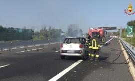 Auto a fuoco in autostrada: vigili del fuoco in azione lungo la A14
