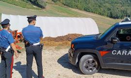 Sversamento di rifiuti nel terreno e lavoratori irregolari: sequestrata azienda agricola di San Ginesio