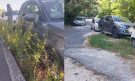 Macerata, nel blu dipinto di blu: parcheggiare è sempre più un'impresa (FOTO)