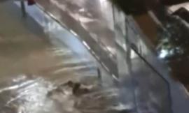 Nubifragio a Civitanova, garage e seminterrati allagati. Uomo impantanato con la bici nel sottopasso
