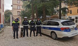 Macerata, controlli antidroga della polizia locale con l'unità cinofila: al setaccio zone a rischio della città