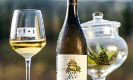 Civitanova, il Pecorino di Cantine Fontezoppa "Joca" sale sul podio dei migliori vini bianchi d’Italia