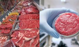 Carne sintetica, c'è chi dice sì nonostante il Governo: "Pronto a venderla nel mio bancone"