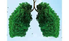 Legambiente Marche aderisce al progetto europeo "Life Terra"
