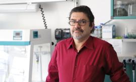 Unicam, il professor Guido Favia e i genomi della zanzara coreana e giapponese: pubblicato lo studio