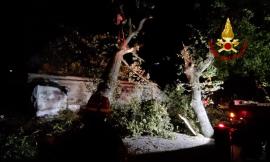 Montecassiano, un albero minaccia il tetto della chiesa di Valle Cascia: arrivano i vigili del fuoco (VIDEO)