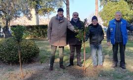 Macerata, nuovi alberi di Corbezzolo a Villa Cozza: pianta simbolo dell'Italia fin dal Risorgimento