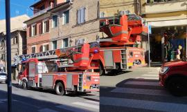 Macerata, cortocircuito della lavatrice: incendio nell'appartamento, intossicati due gatti