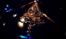 Macerata, è record italiano per l'albero di Natale con i trattori: in migliaia a Villa Potenza (FOTO e VIDEO)
