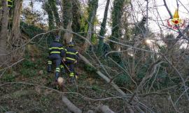 Precipita in una scarpata: intervengono i vigili del fuoco e il personale del 118