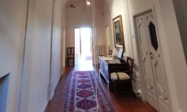Civitanova, in Pinacoteca un nuovo ciclo di incontri sull'arte