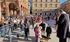 Tolentino festeggia Sant'Antonio: presenti anche i gruppi a cavallo della Polizia di Stato da Firenze