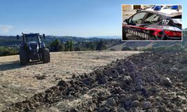 Treia, colpo da oltre 16mila euro in un'azienda agricola: denunciate sette persone