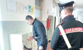 Marijuana e hashish nell'autobus e nei pressi di un'aula: controlli nelle scuole di Cingoli