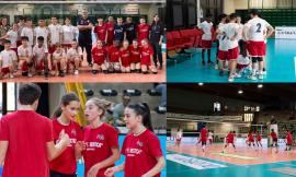 Macerata, il Convitto è la prima scuola finalista del torneo "Campioni…Nella Media"