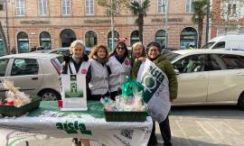 Mille euro per la fondazione Arisla: il dono di Civitanova Cammina: "L'importanza di essere comunità"