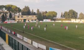 Eccellenza, tra Osimana e Tolentino gemellaggio sugli spalti e pareggio sul campo: Tittarelli fa doppietta