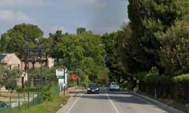 Macerata, lavori di potatura alberi in via dei Velini: scatta il divieto di transito