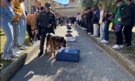 A scuola con la guardia di finanza: lezione di legalità all'Istituto"Paladini" di Treia