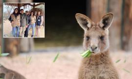 Al Parco Zoo di Falconara arrivano i canguri: "Presenza importante per parlare dell'ecosistema australiano"