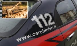 Attimi di terrore da "Shining" ad Appignano, ubriaco minaccia i vicini con un'ascia: denunciato