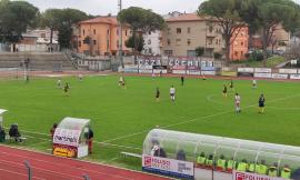 Eccellenza, fischi sul Tolentino: Sartori lancia l'Urbino, espugnato il "Della Vittoria"