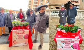 Macerata, bersaglieri e volontari Aism in piazza per fermare la sclerosi multipla con "Bentornata Gardensia" (FOTO)