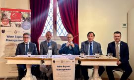 Matelica, formare esperti del vino nella terra del Verdicchio: al via il master dell'Università di Camerino