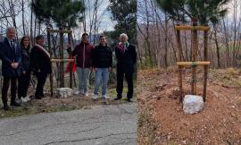 A Cessapalombo un pino in memoria dei martiri di Montalto: "Simbolo tangibile di speranza"