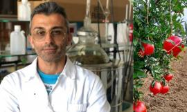 Un succo di melograno di alta qualità grazie alla tecnologia: la ricerca Unicam fa centro