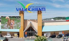 Macerata, una giornata dedicata agli amici a quattro zampe: al Val di Chienti arriva il BauDay